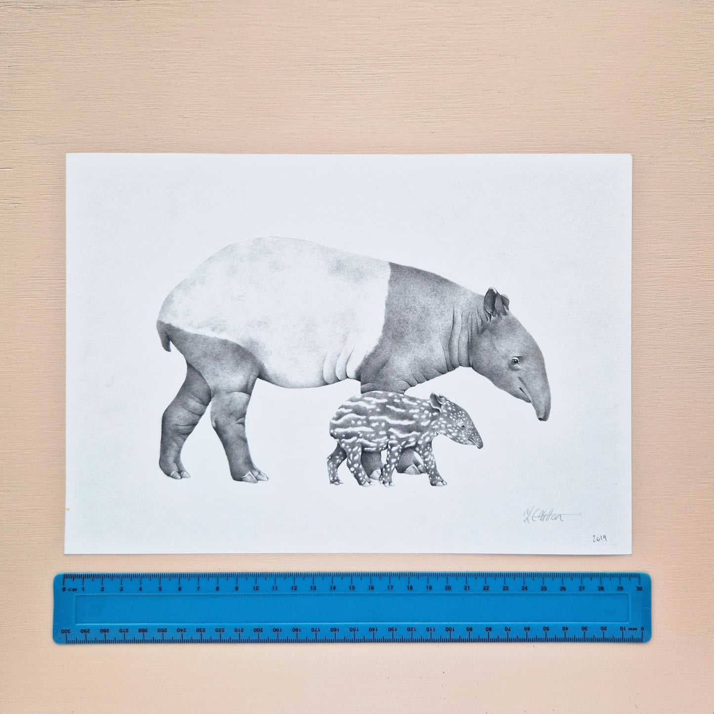 Tapir Mother & Baby Original Drawing