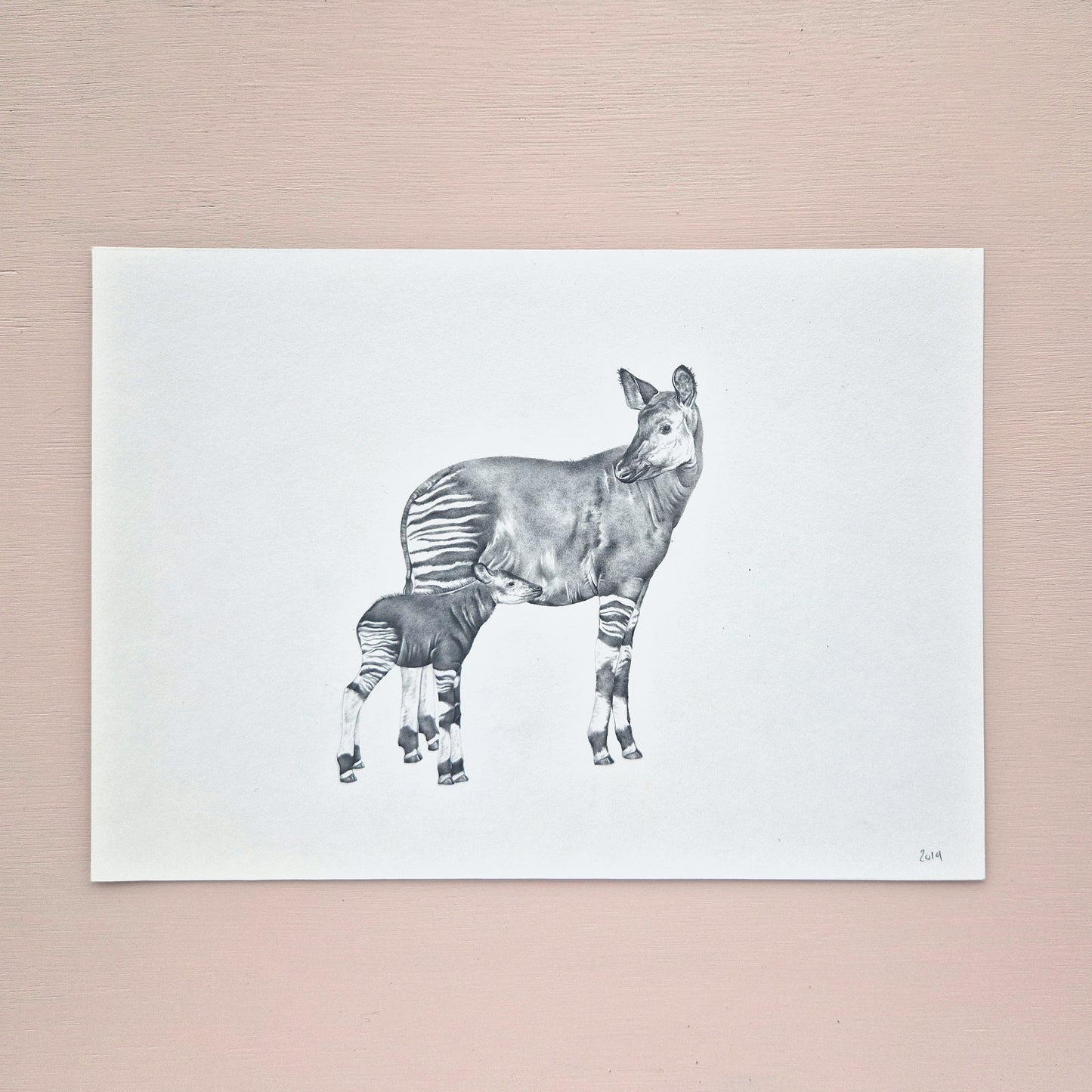 Okapi Original Drawing