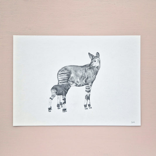 Okapi Original Drawing