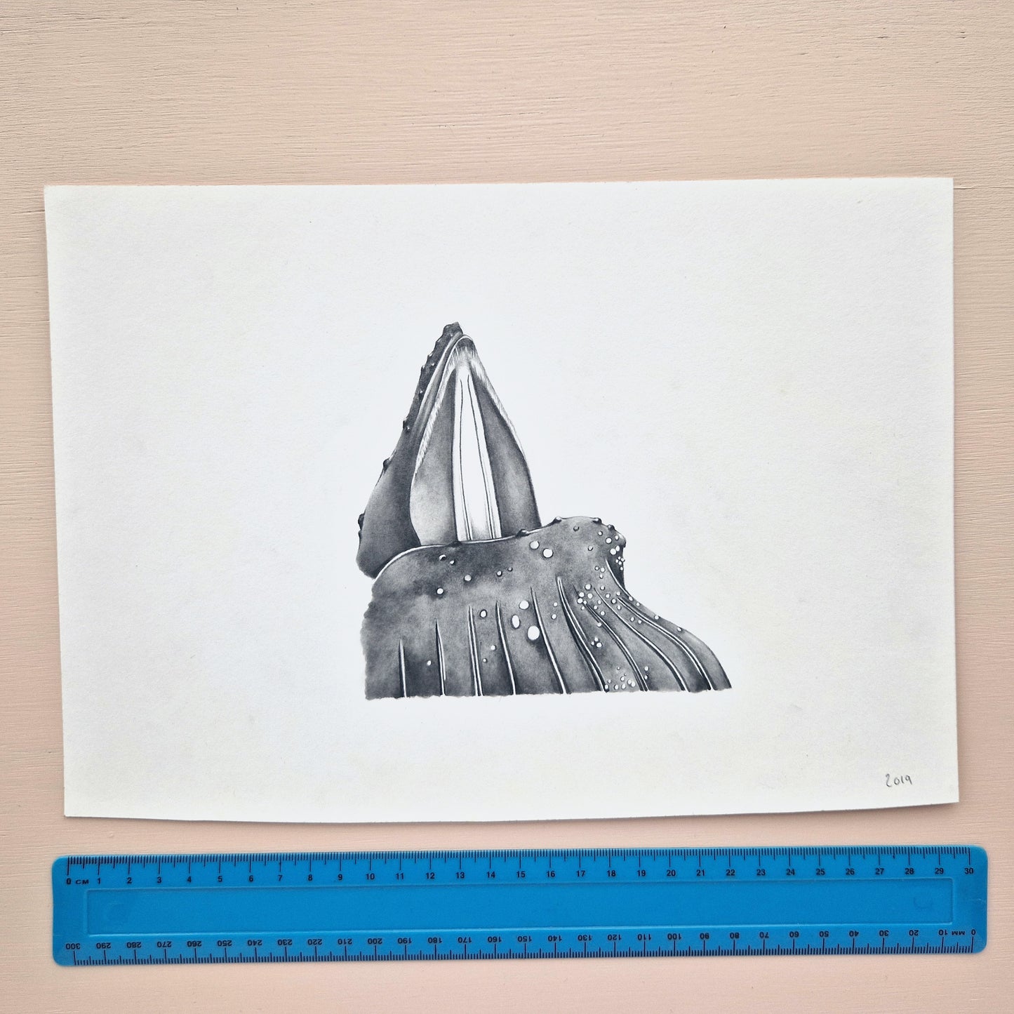 Humpback whale Original Drawing