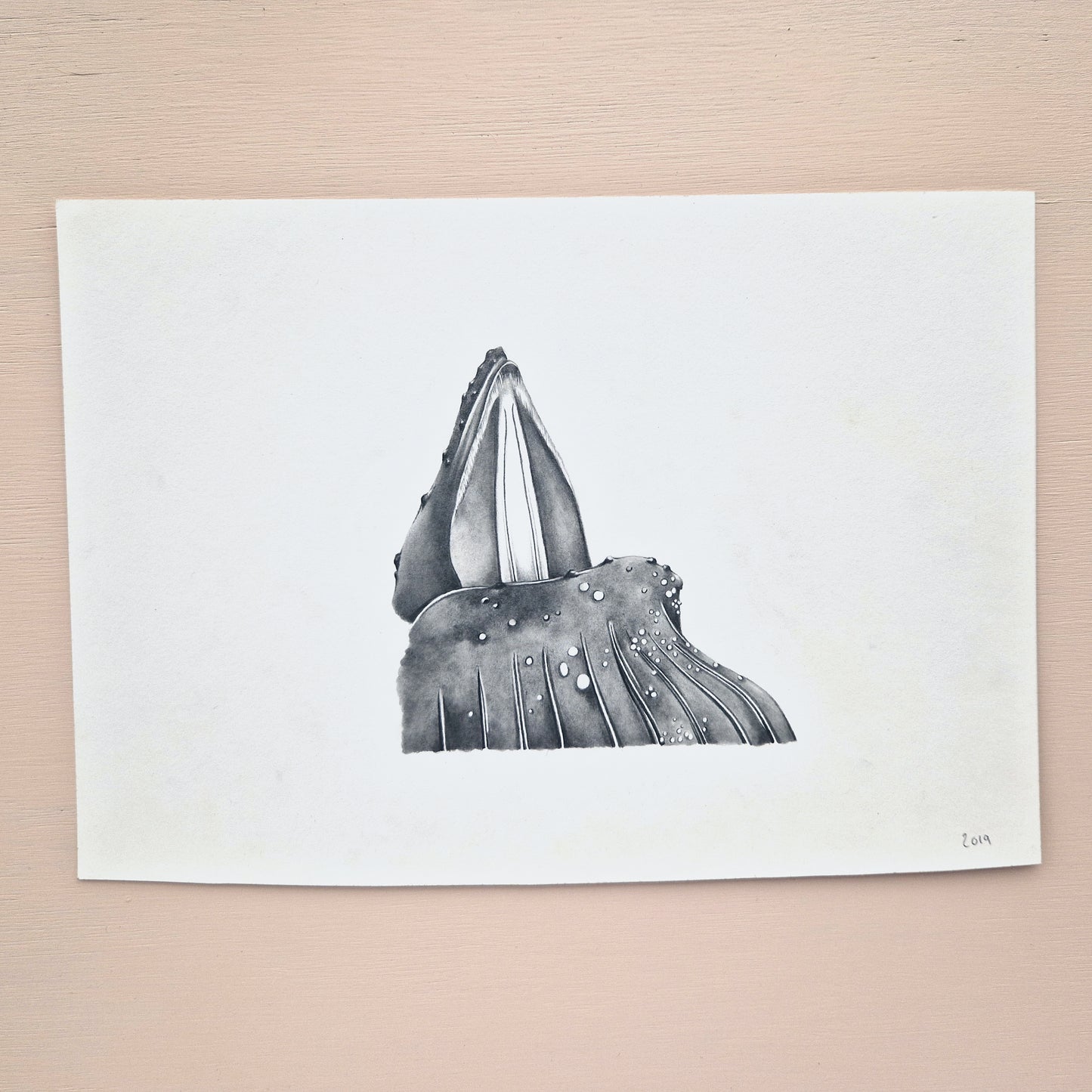 Humpback whale Original Drawing