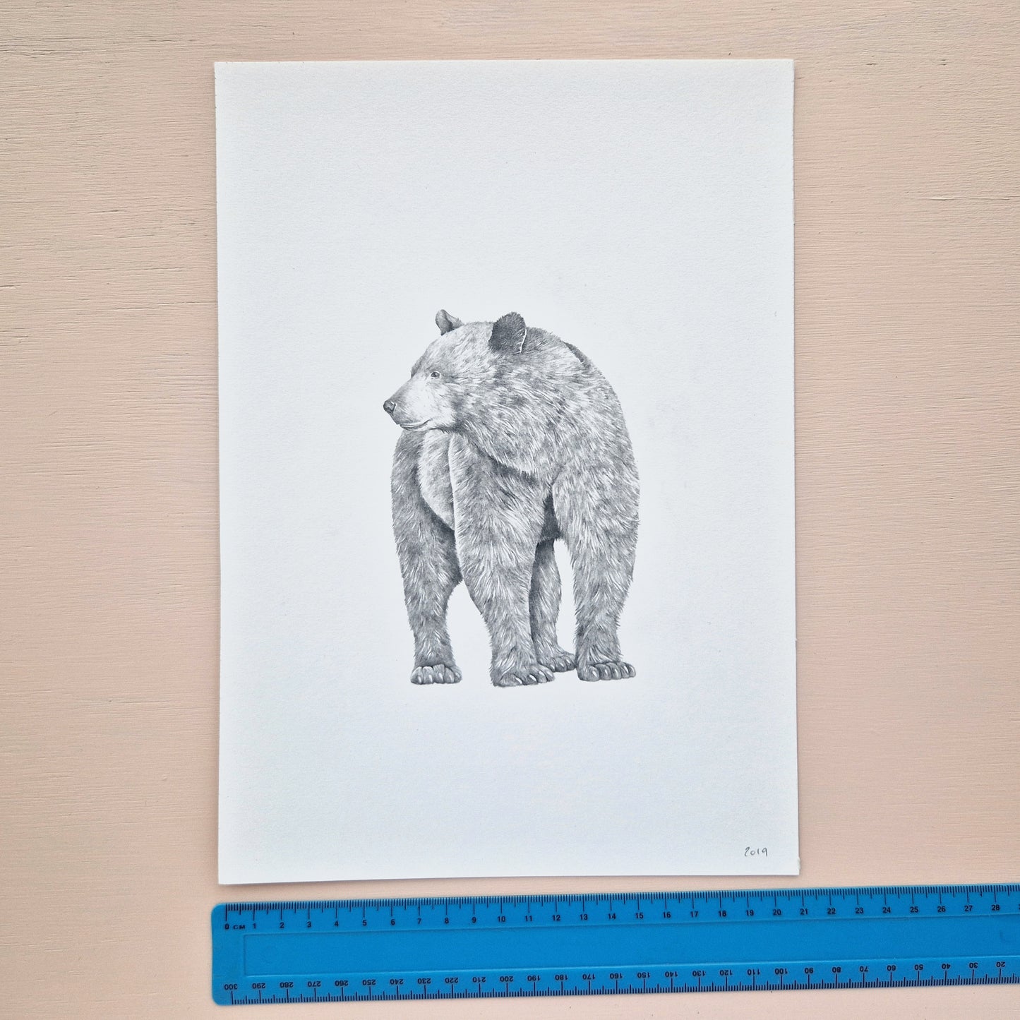 Black Bear Original Drawing