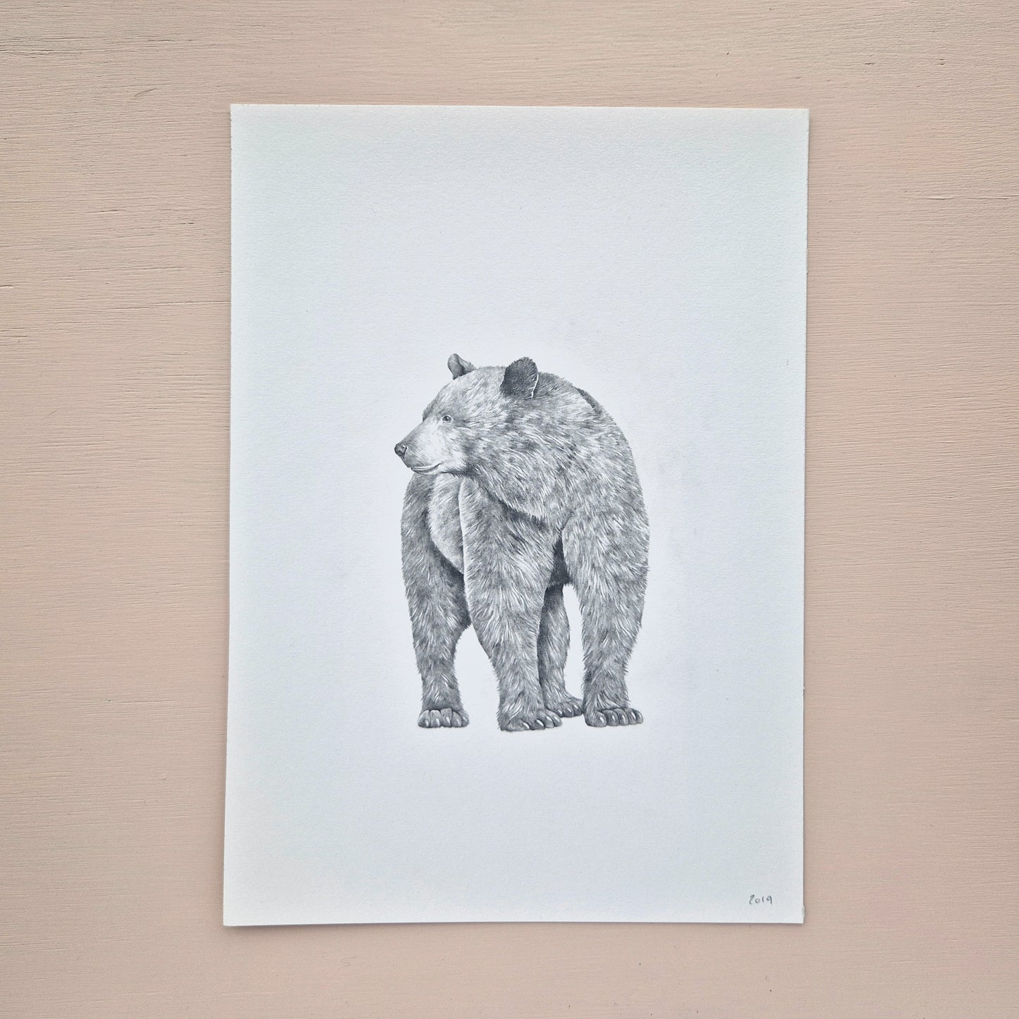 Black Bear Original Drawing