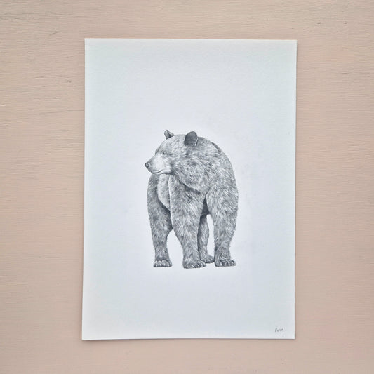 Black Bear Original Drawing