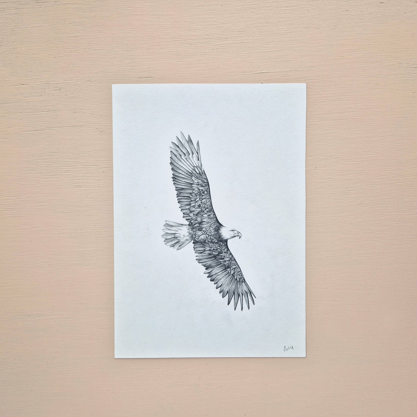 Bald Eagle Original Drawing 1/2