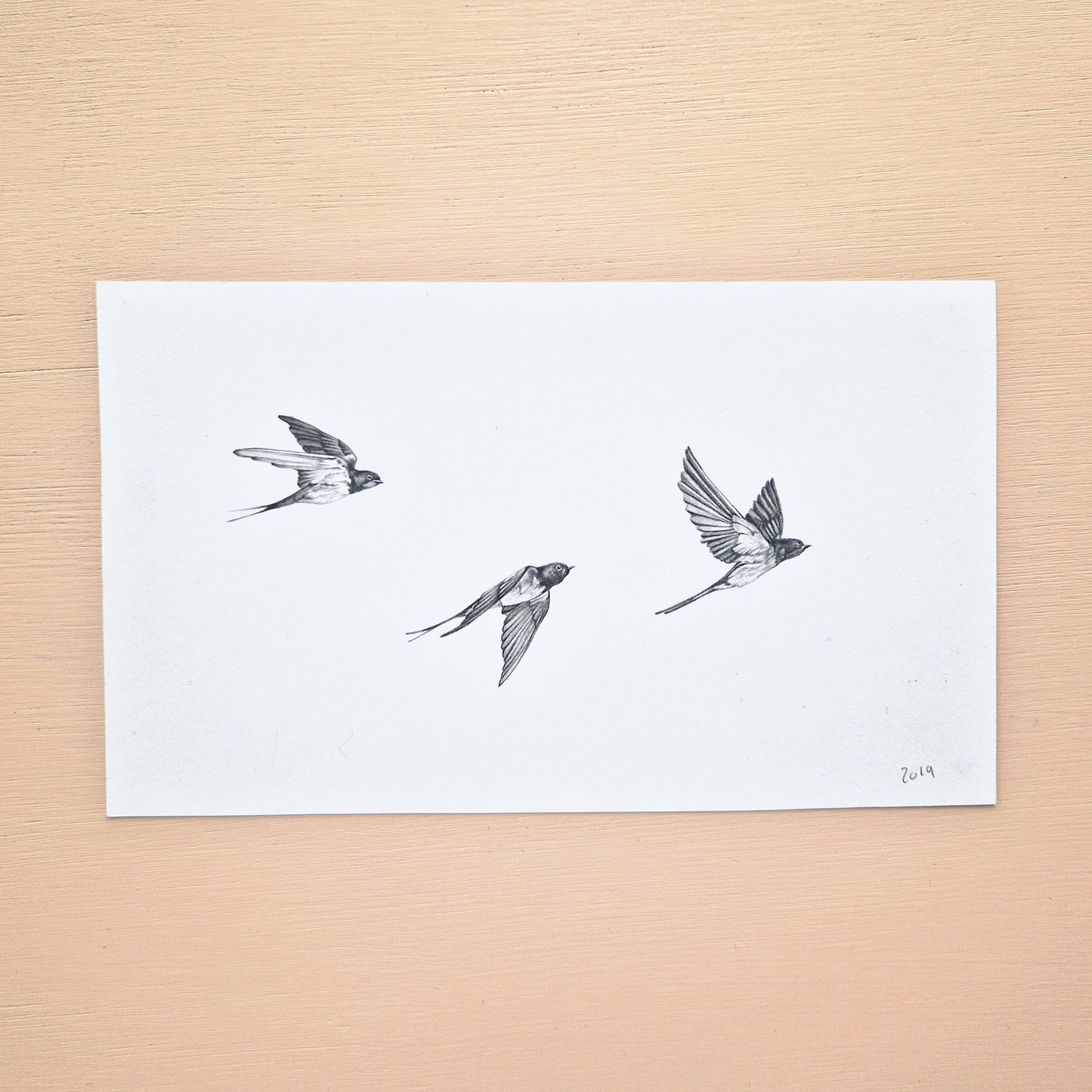 Flying Swallows Original Drawing