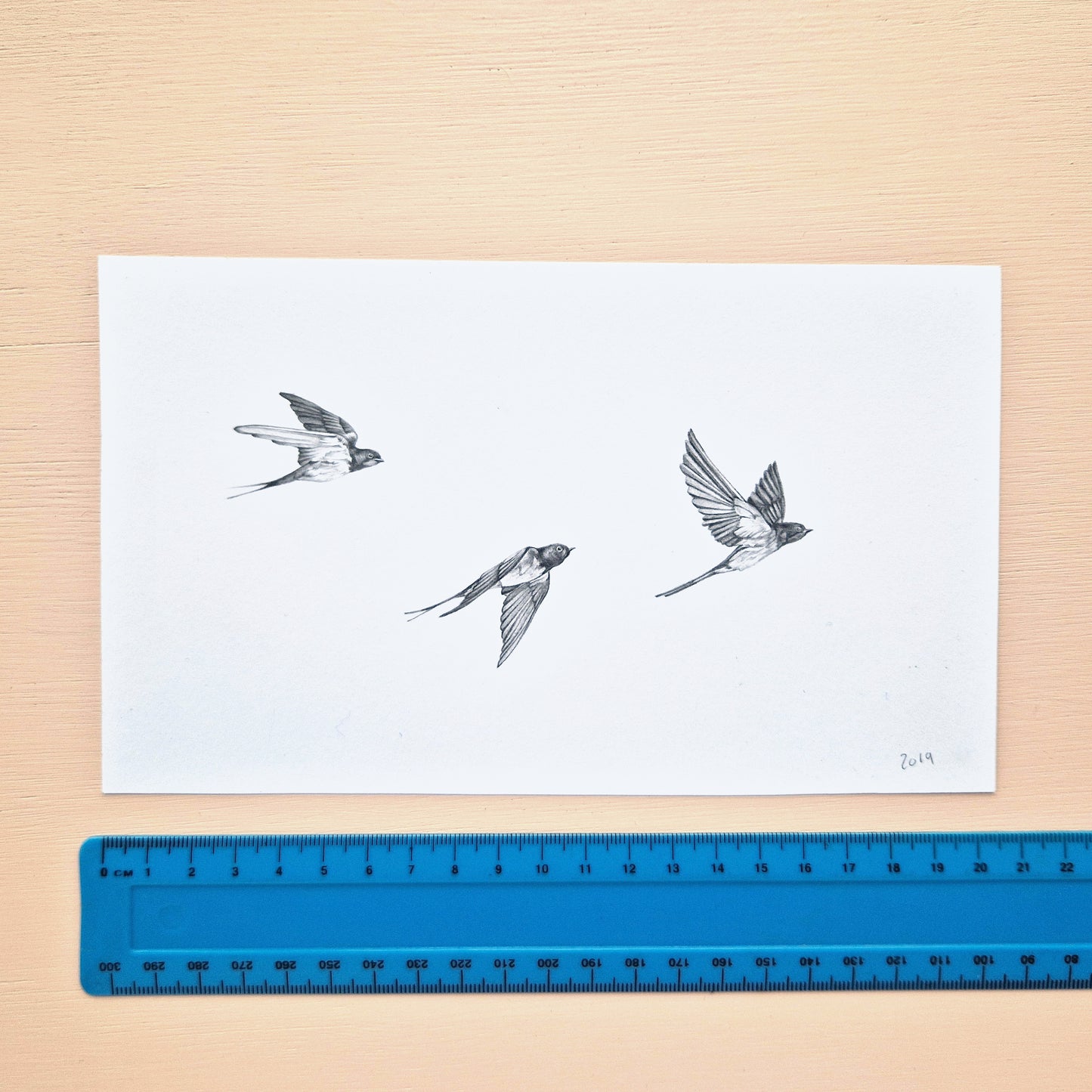 Flying Swallows Original Drawing