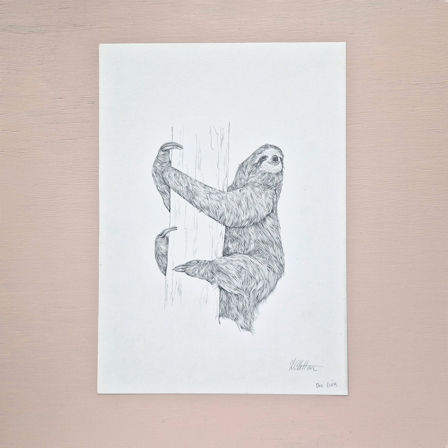 Sloth Original Drawing