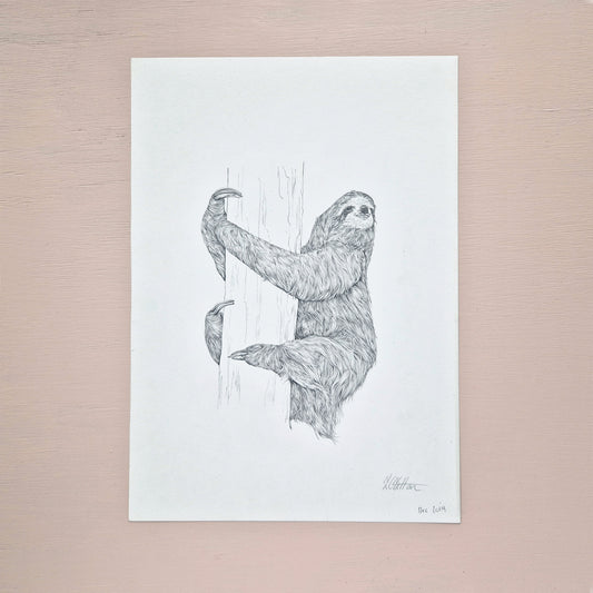 Sloth Original Drawing