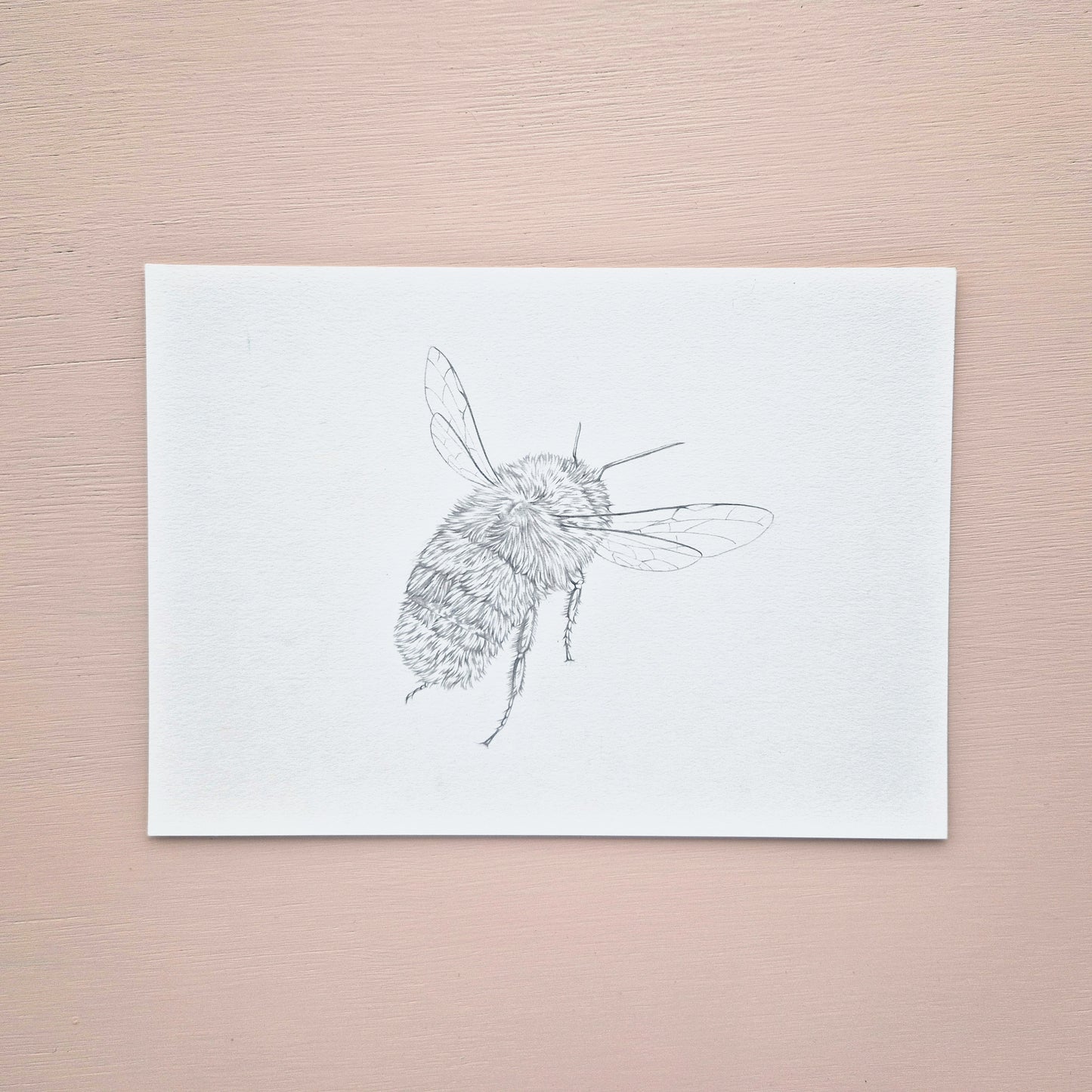 Bumble bee Original Drawing