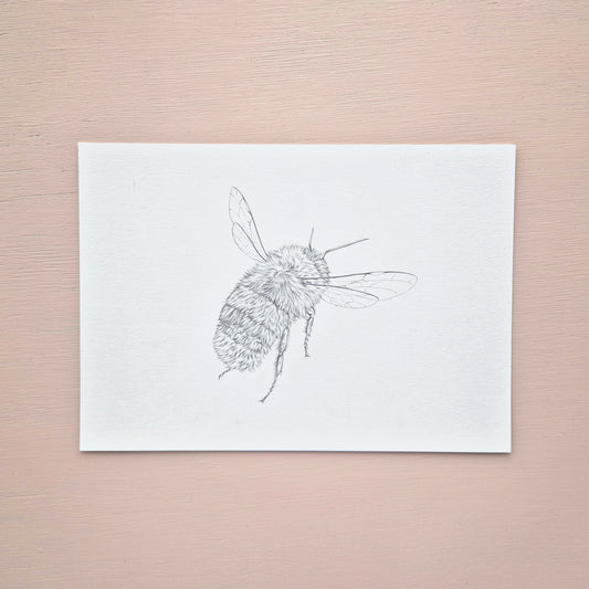 Bumble bee Original Drawing