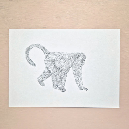 Snub-nosed Monkey Original Drawing