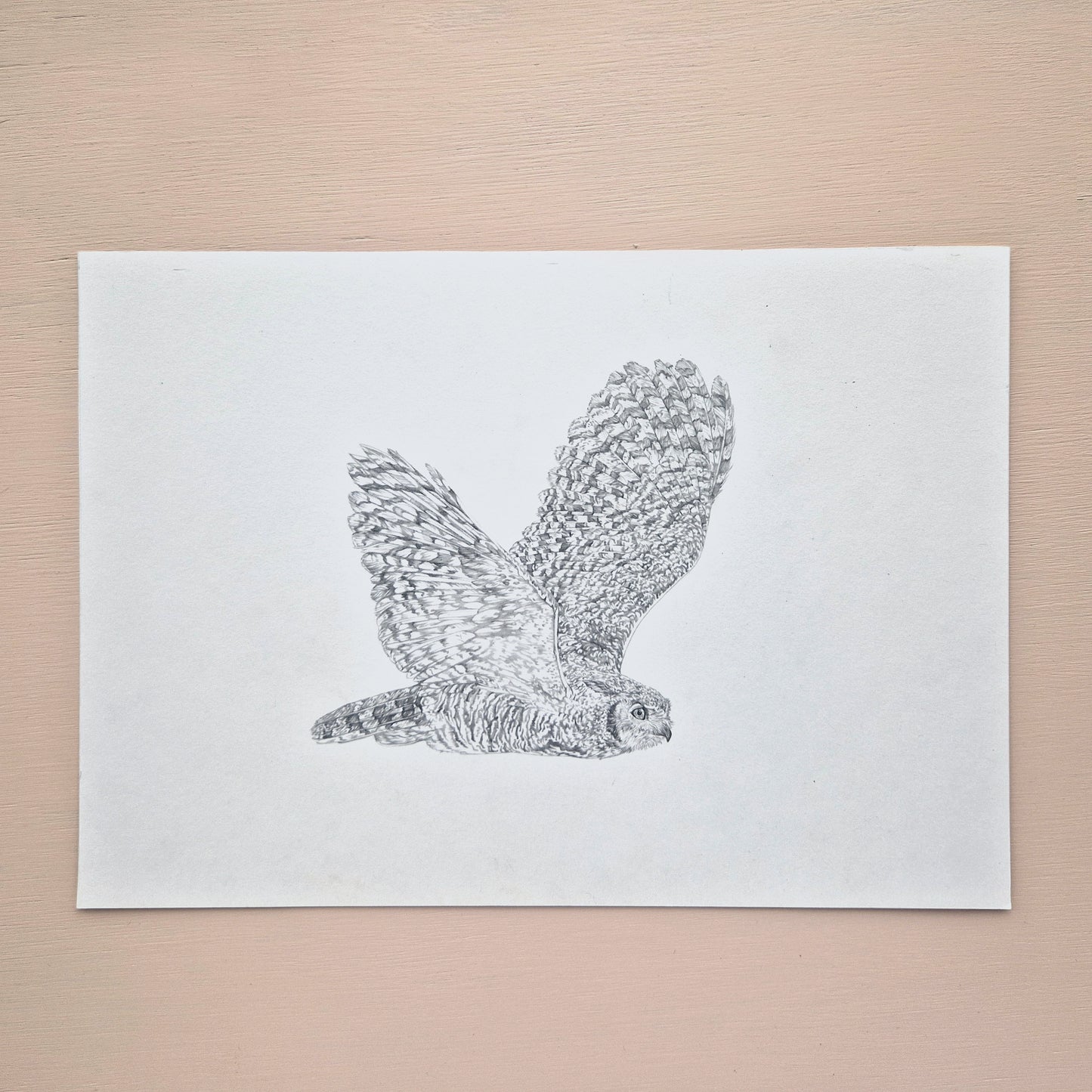 Great Horned Owl Original Drawing
