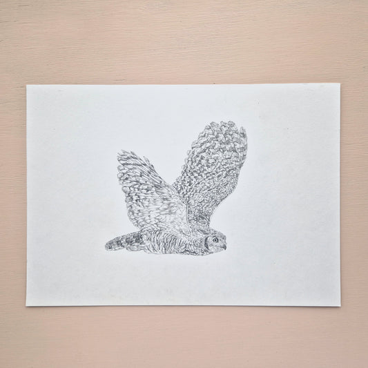 Great Horned Owl Original Drawing