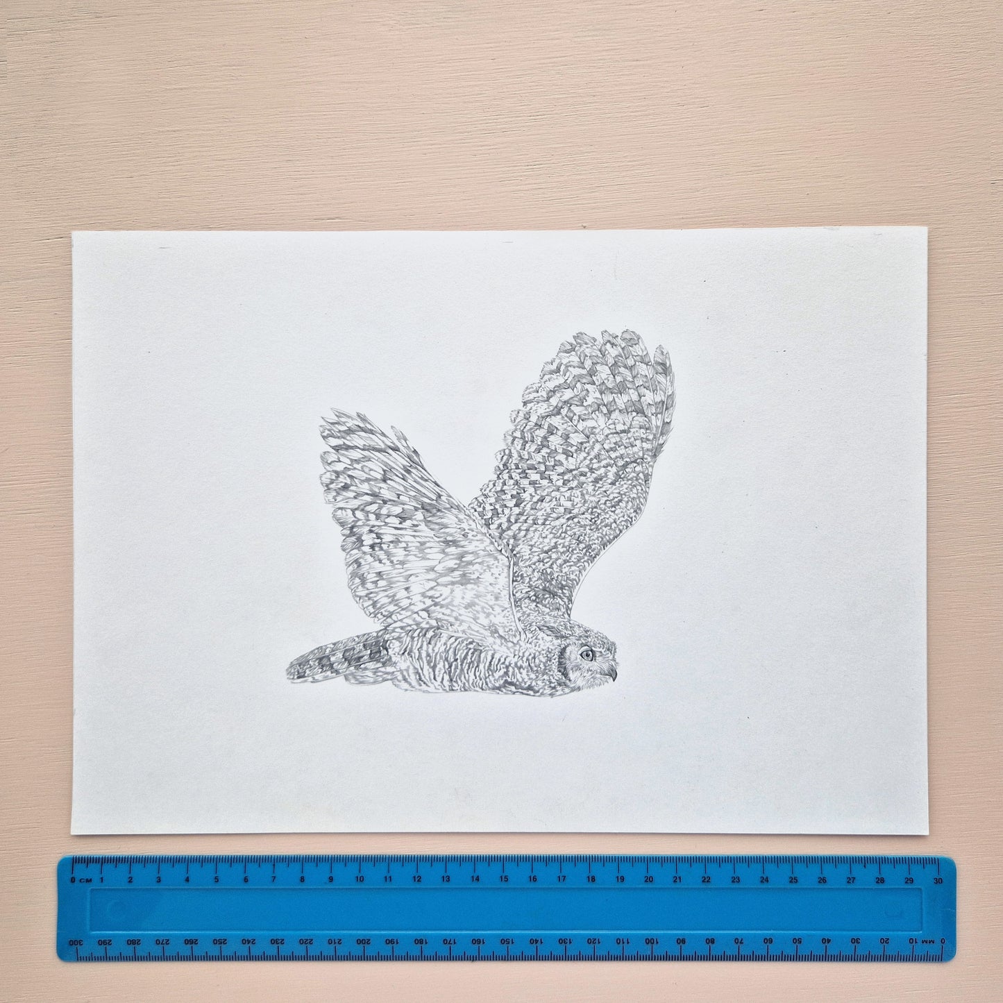 Great Horned Owl Original Drawing