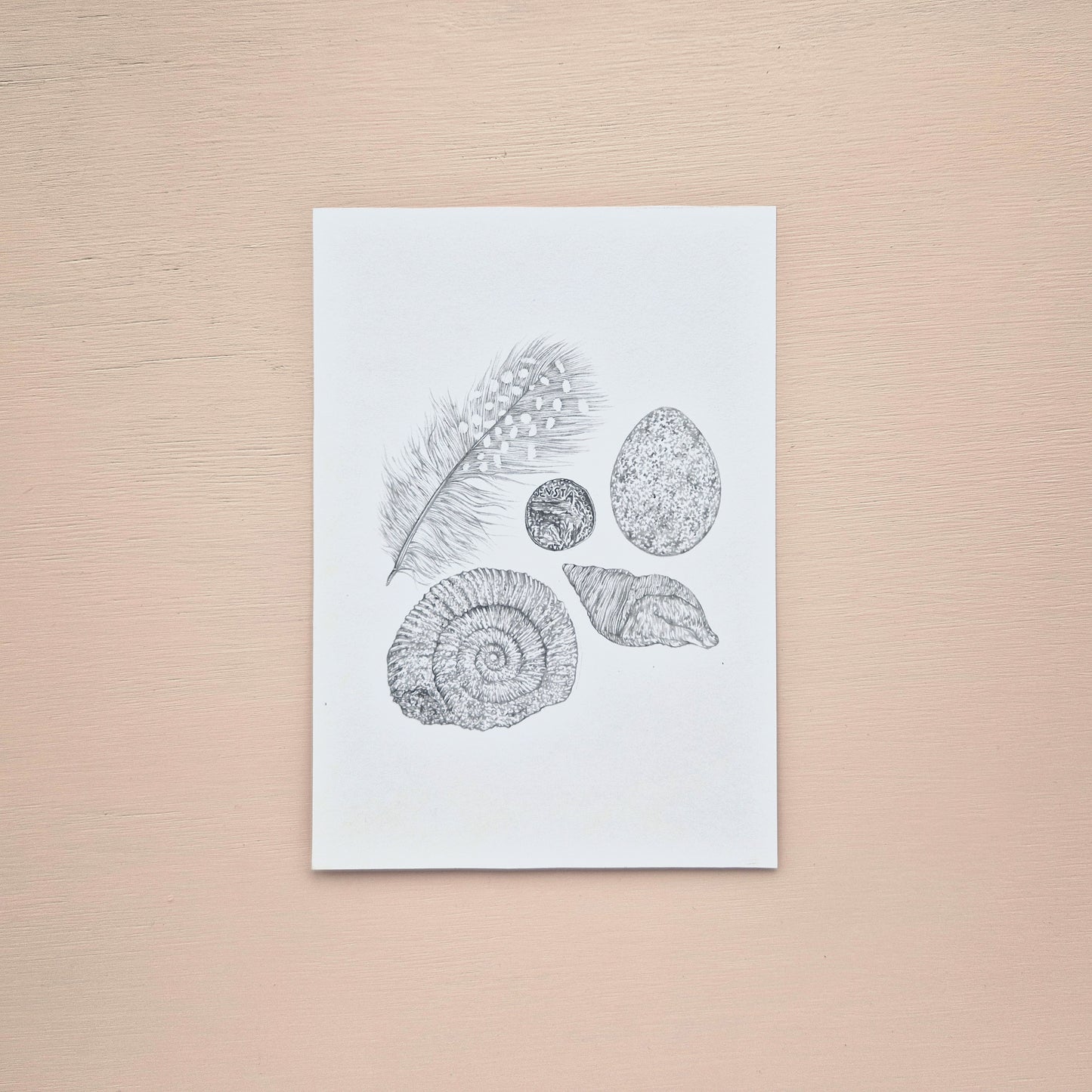 Museum Objects Original Drawing
