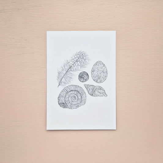 Museum Objects Original Drawing