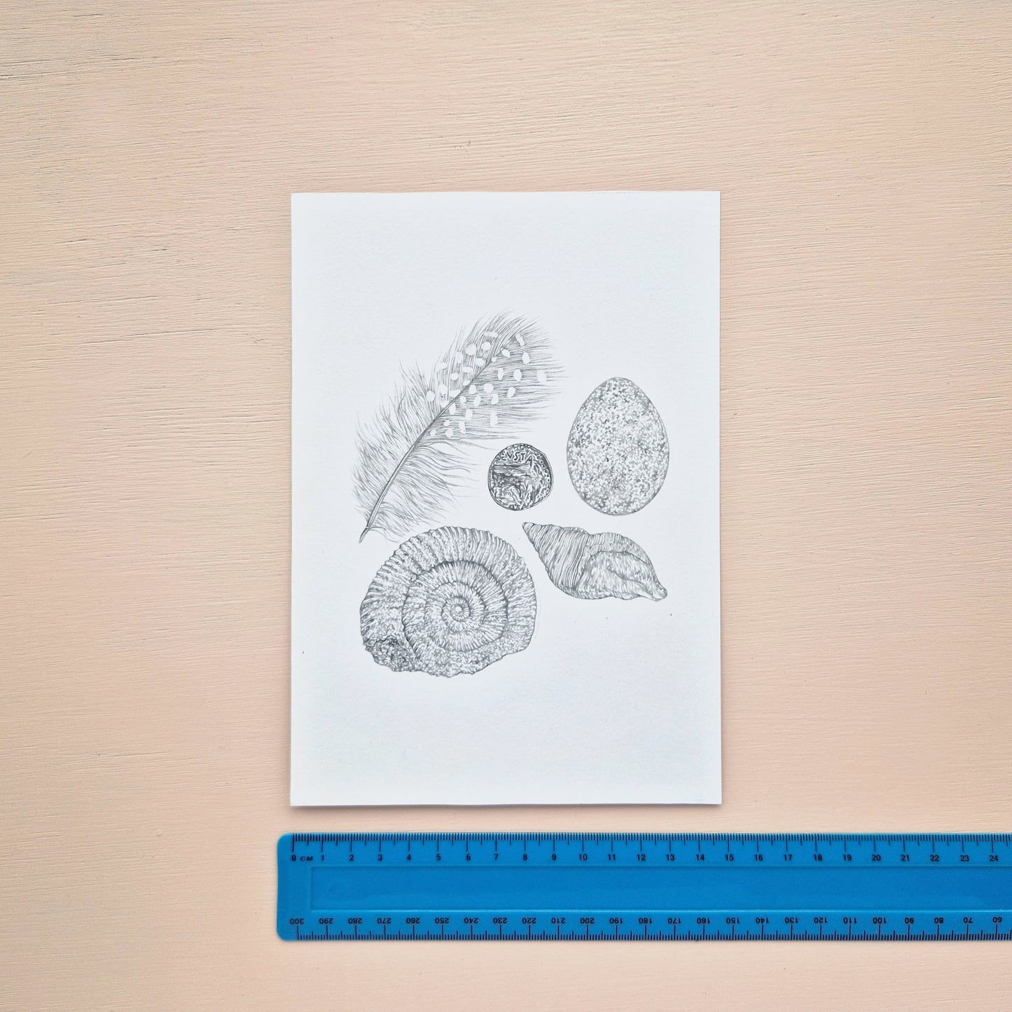 Museum Objects Original Drawing