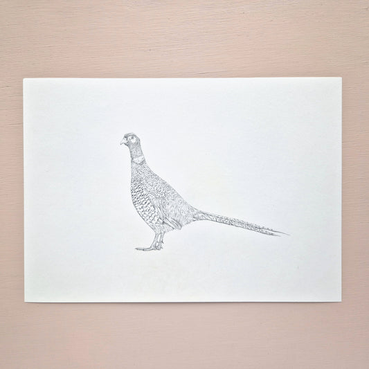 Pheasant Original Drawing