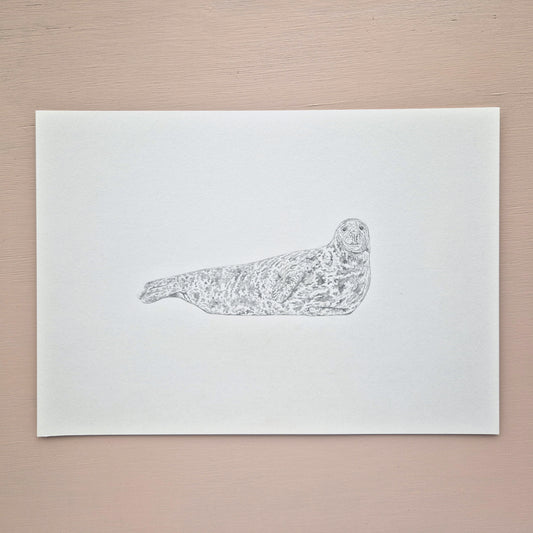 Grey Seal Original Drawing