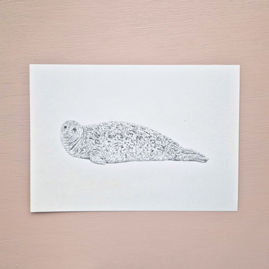 Harbour Seal Original Drawing