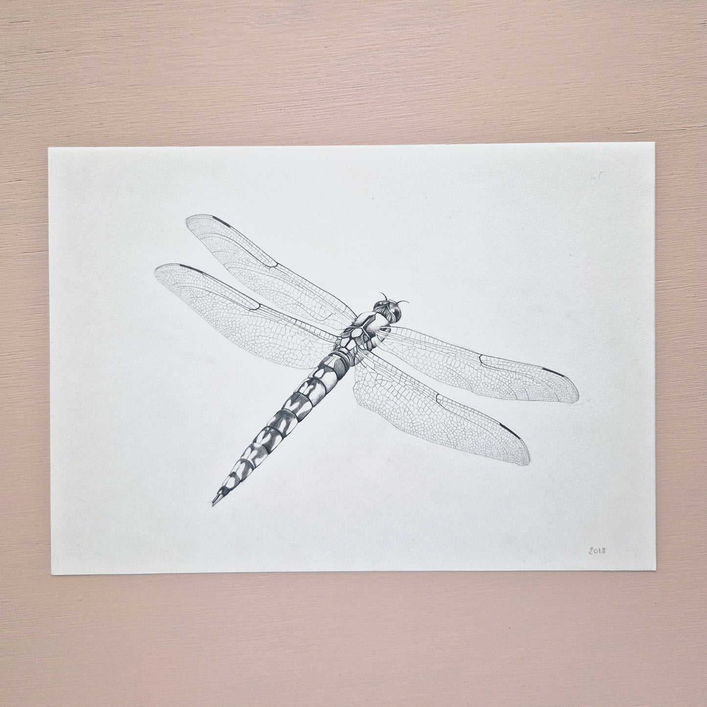 Dragonfly Original Drawing