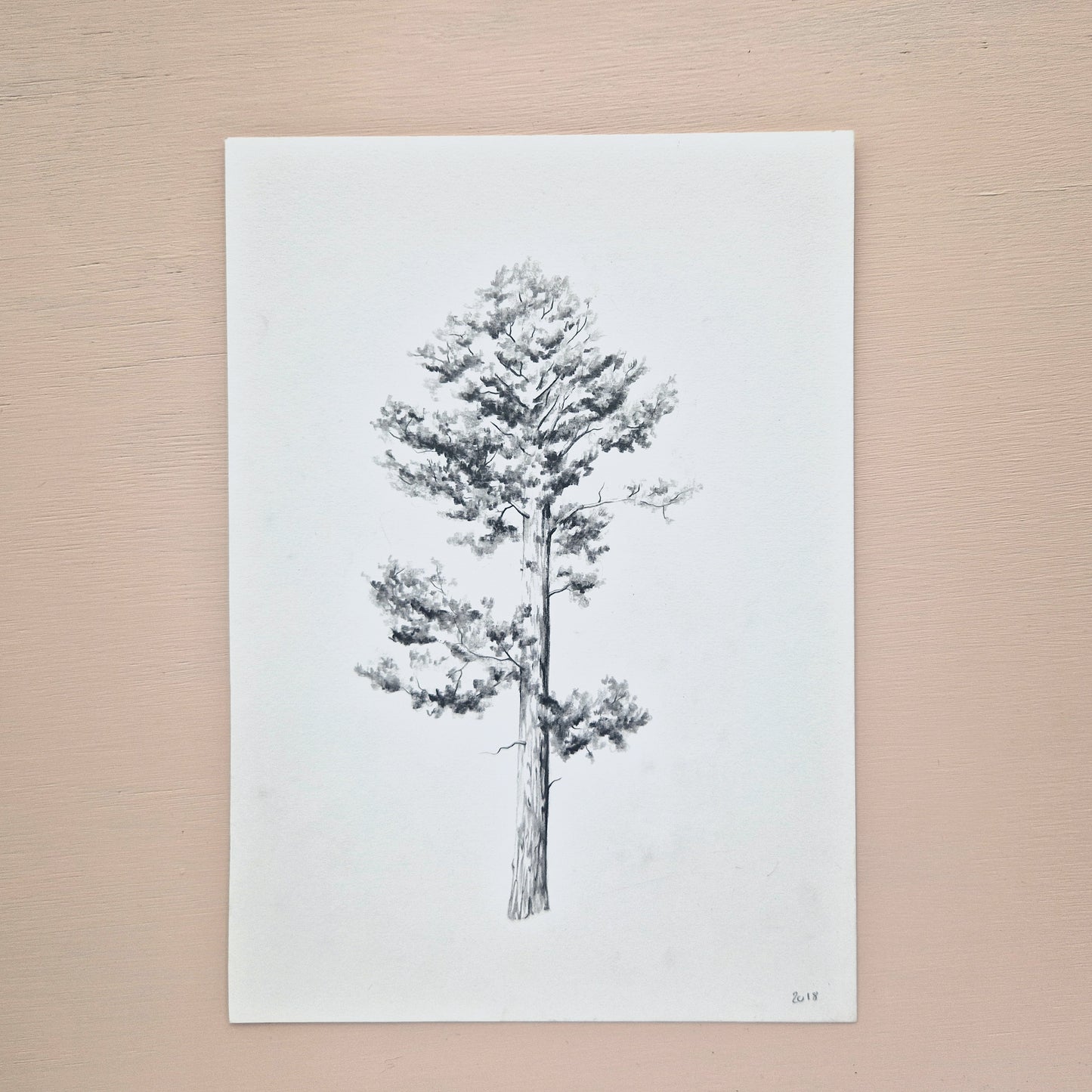 Tree Original Drawing