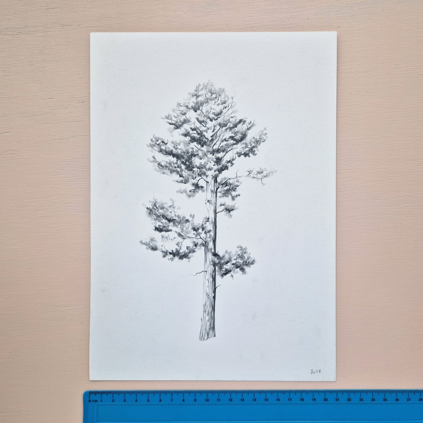 Tree Original Drawing