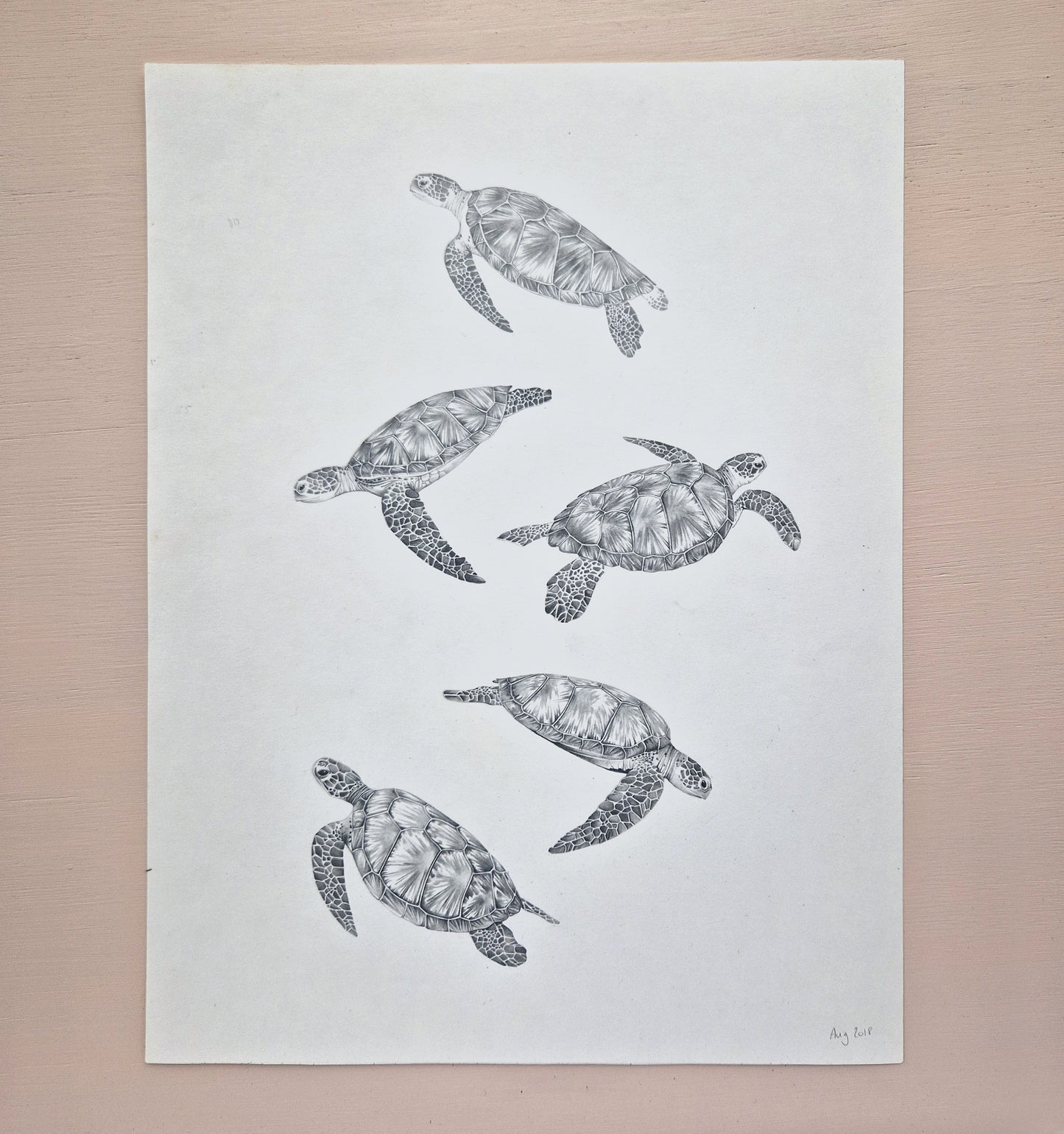 Turtles Original Drawing