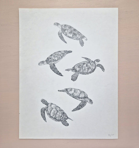 Turtles Original Drawing