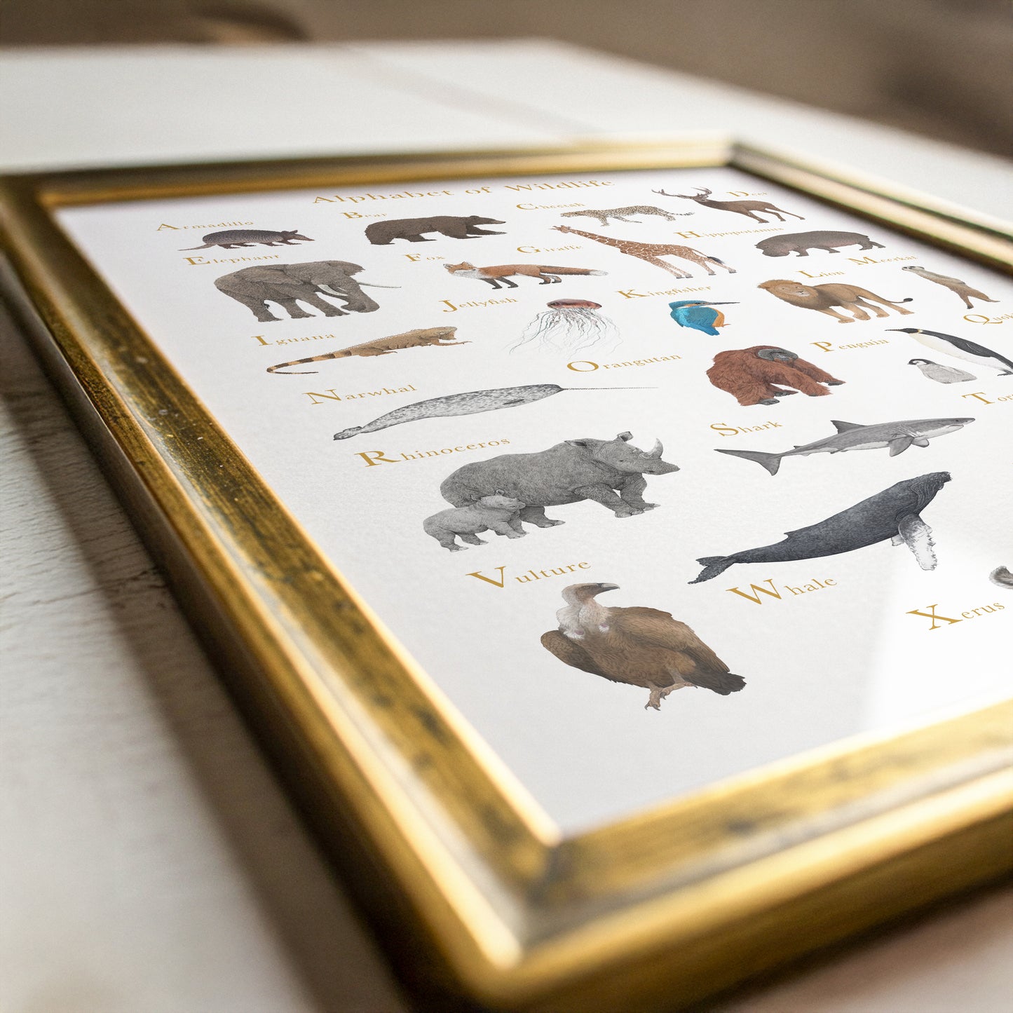 Alphabet of Wildlife Educational Print