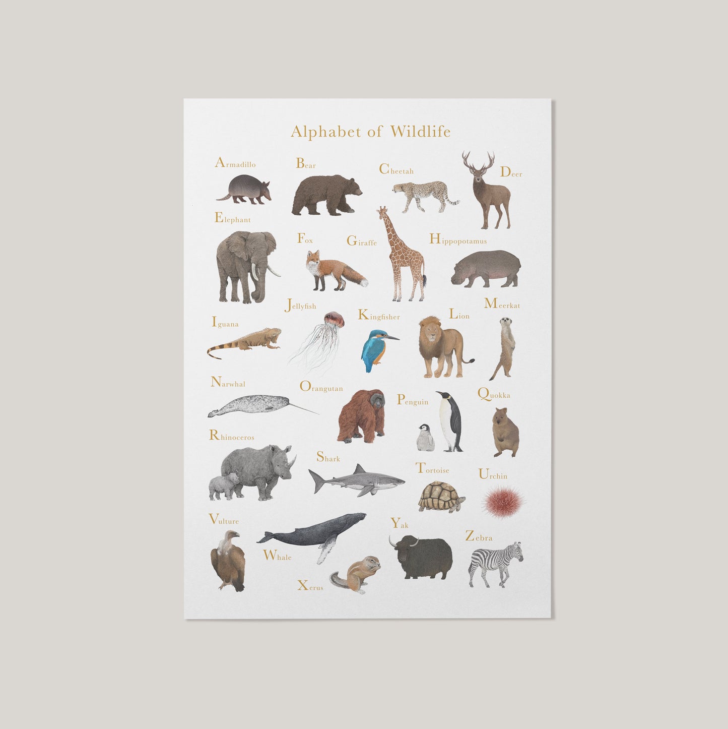 Alphabet of Wildlife Educational Print