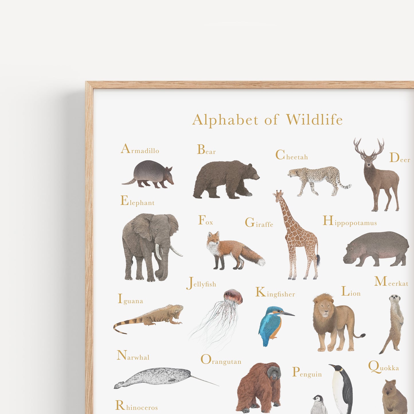 Alphabet of Wildlife Educational Print