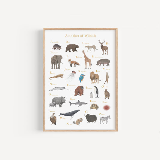Alphabet of Wildlife Educational Print