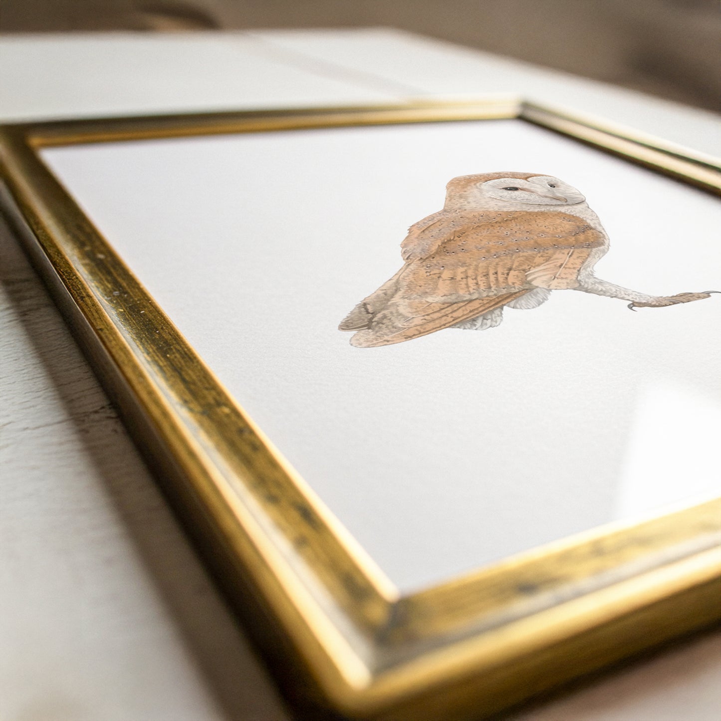Barn Owl Print
