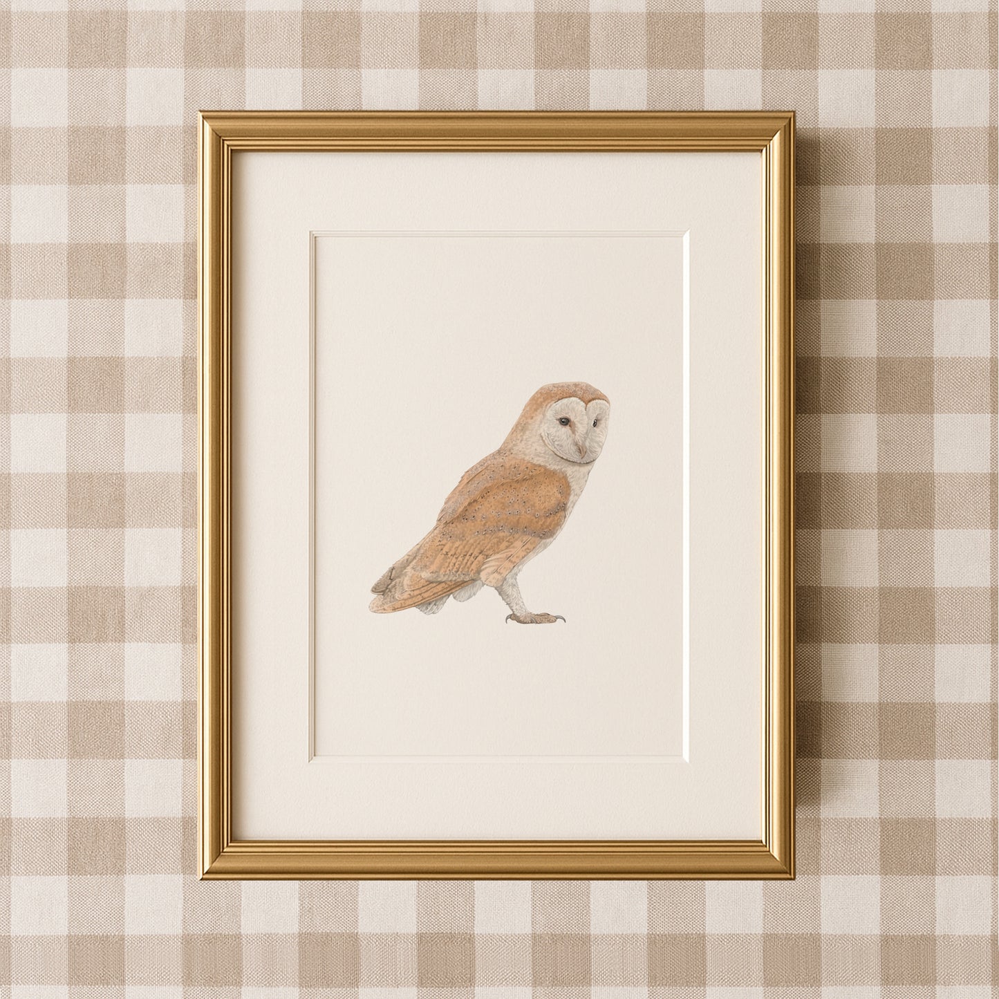 Barn Owl Print