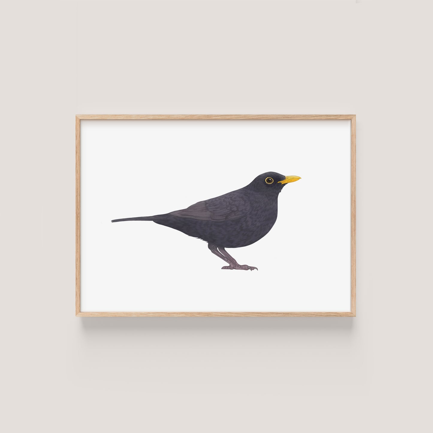 Blackbird Print