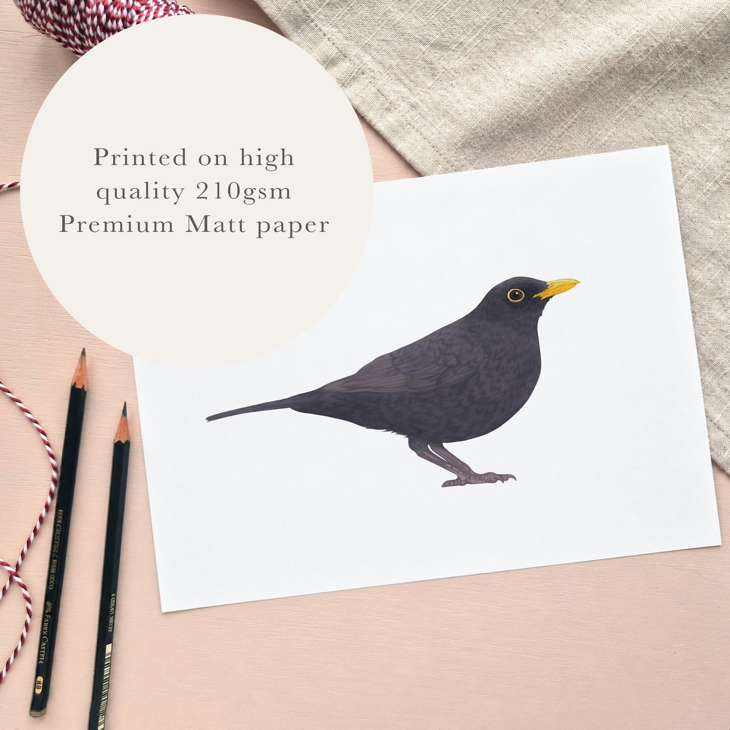 Blackbird Print