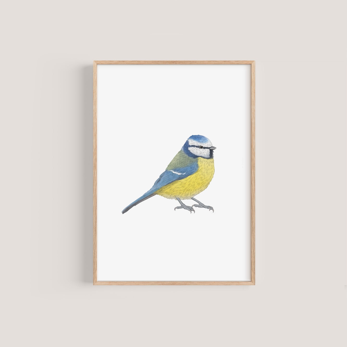 Blue Tit Print