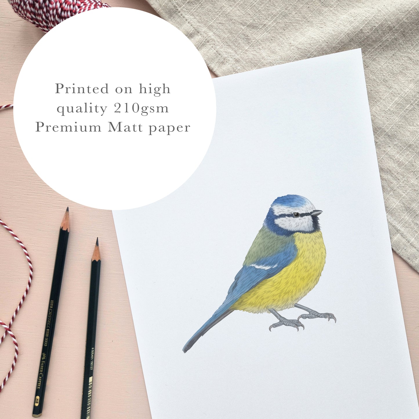 Blue Tit Print