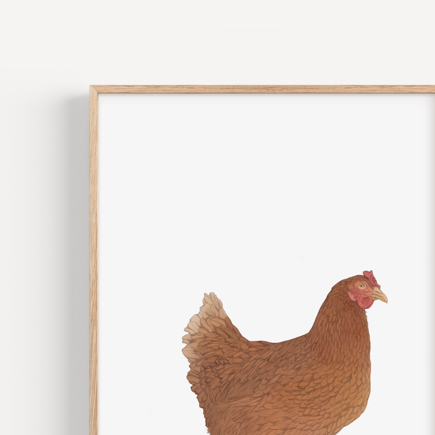 Chicken Print