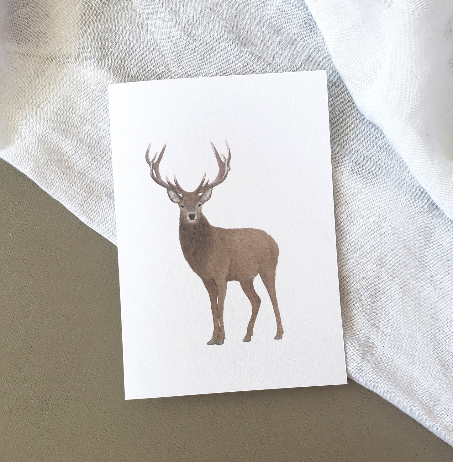 Stag Card