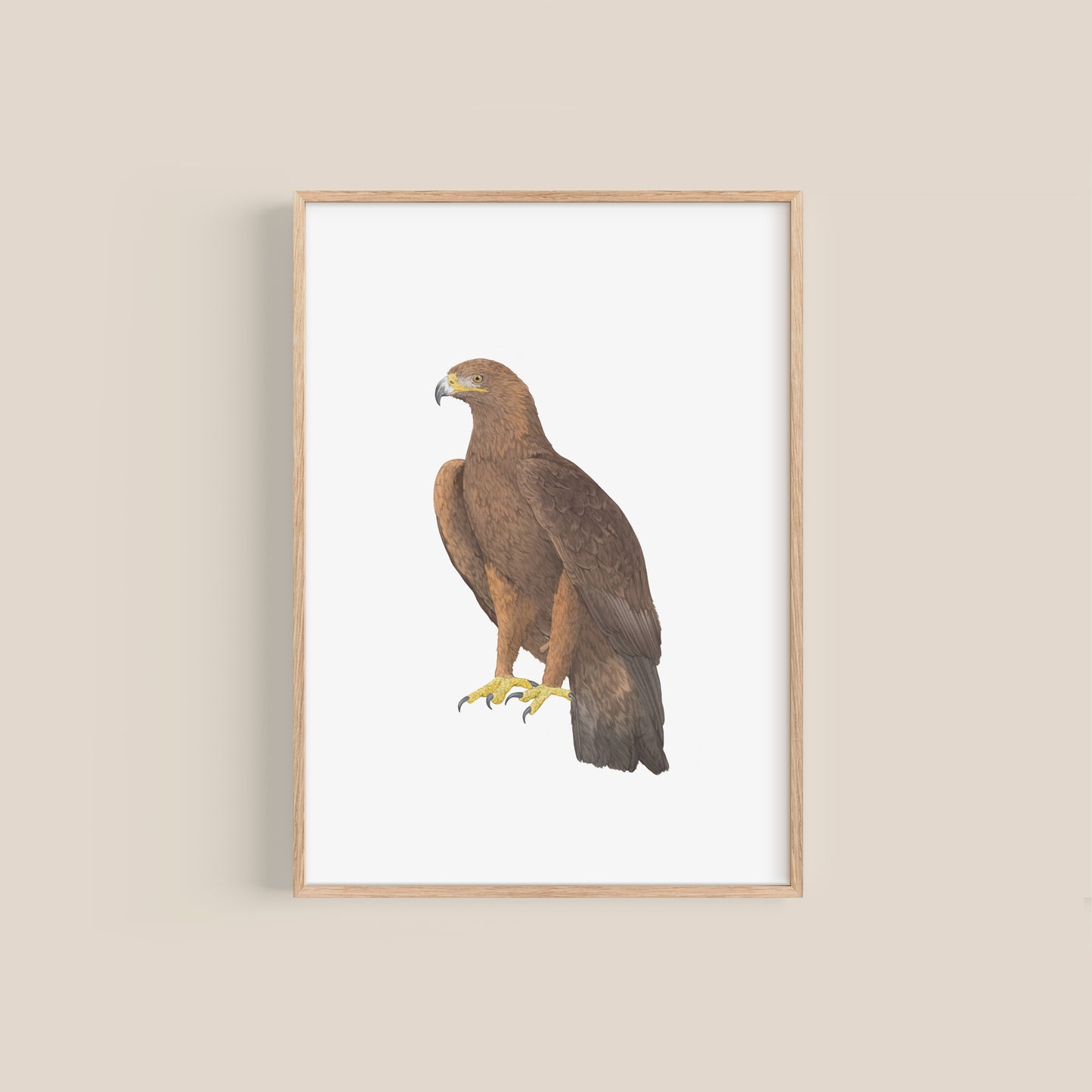 Golden Eagle Print