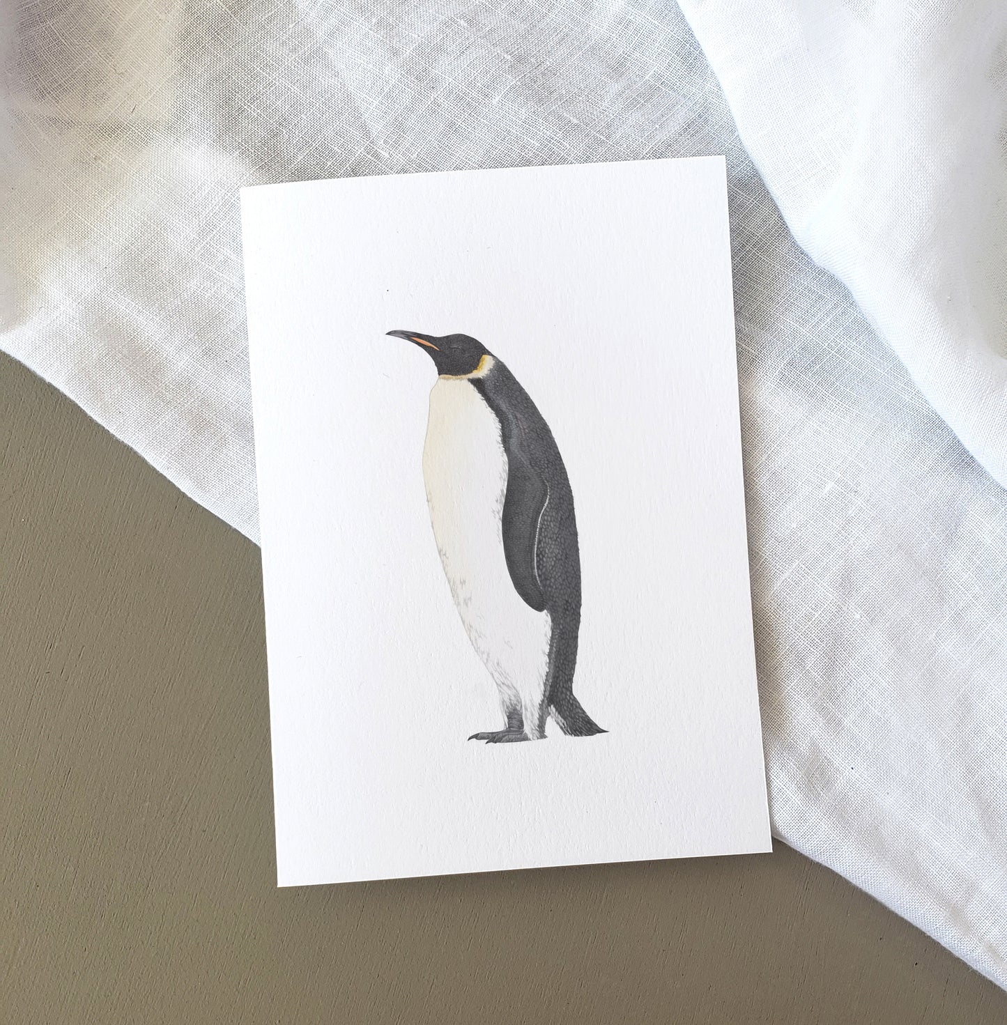 Emperor Penguin Card