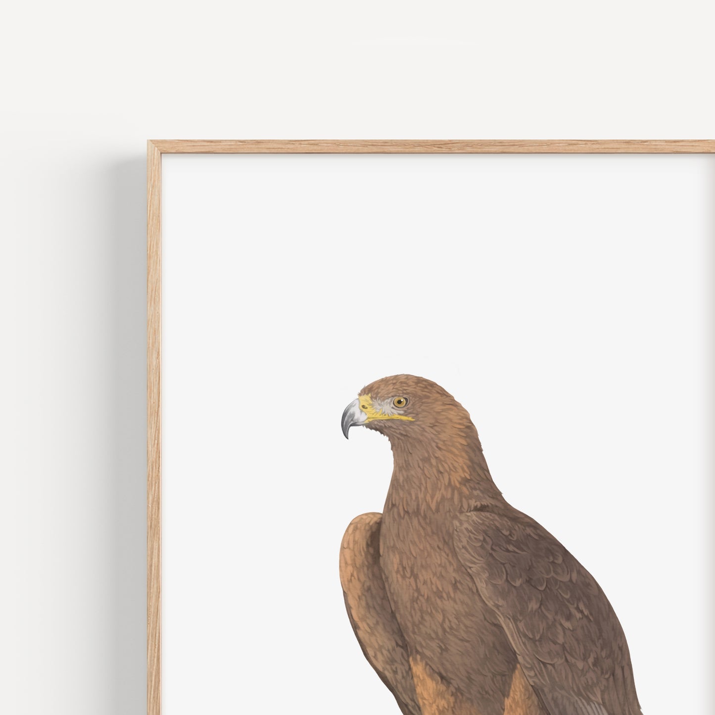 Golden Eagle Print