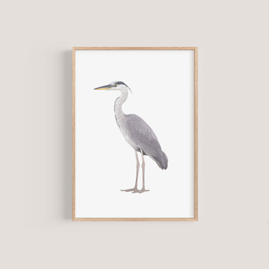 Heron Print