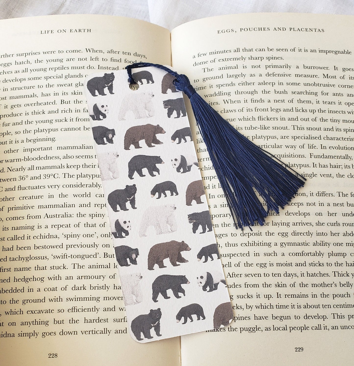 Bear Species Bookmark