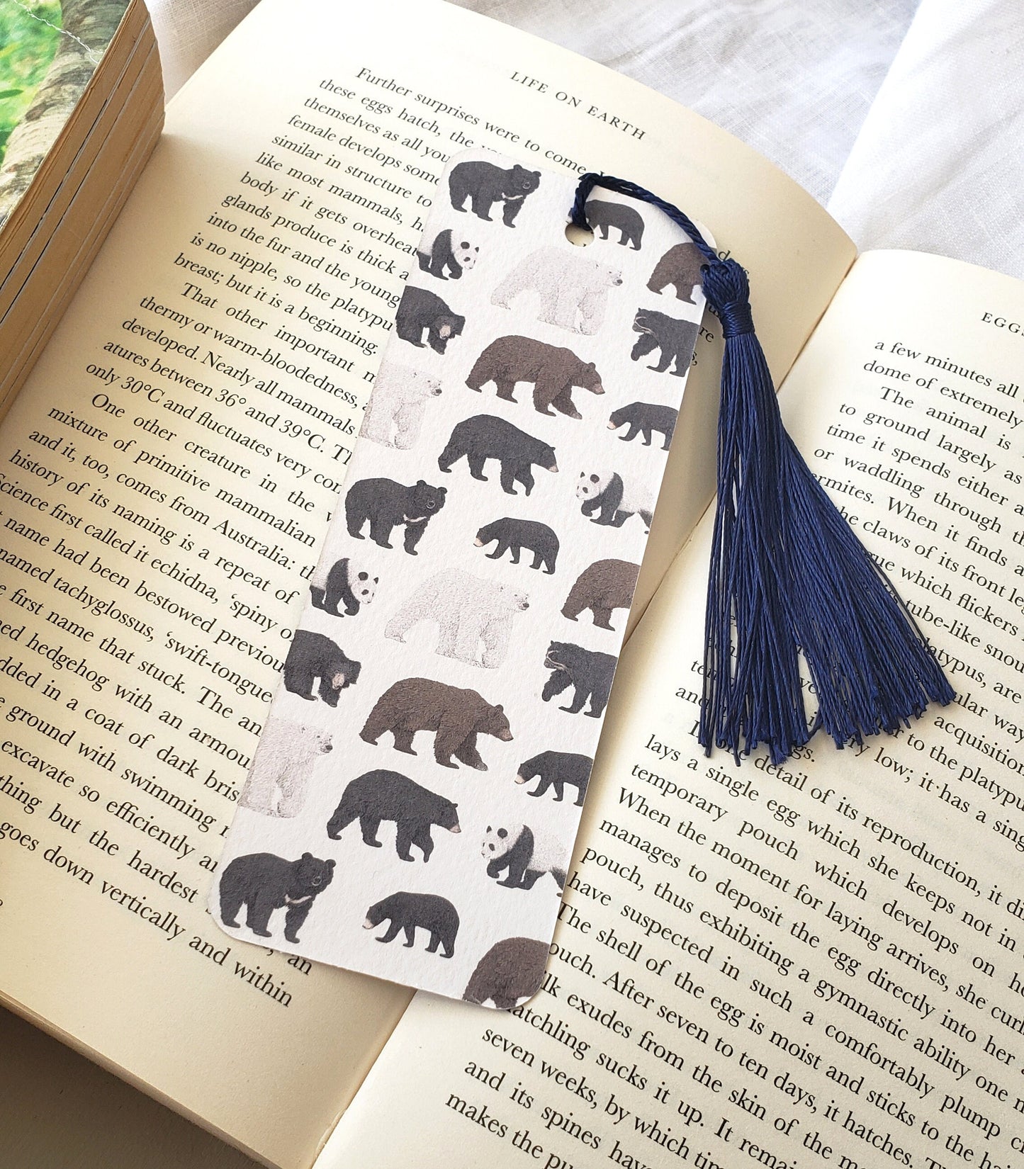 Bear Species Bookmark