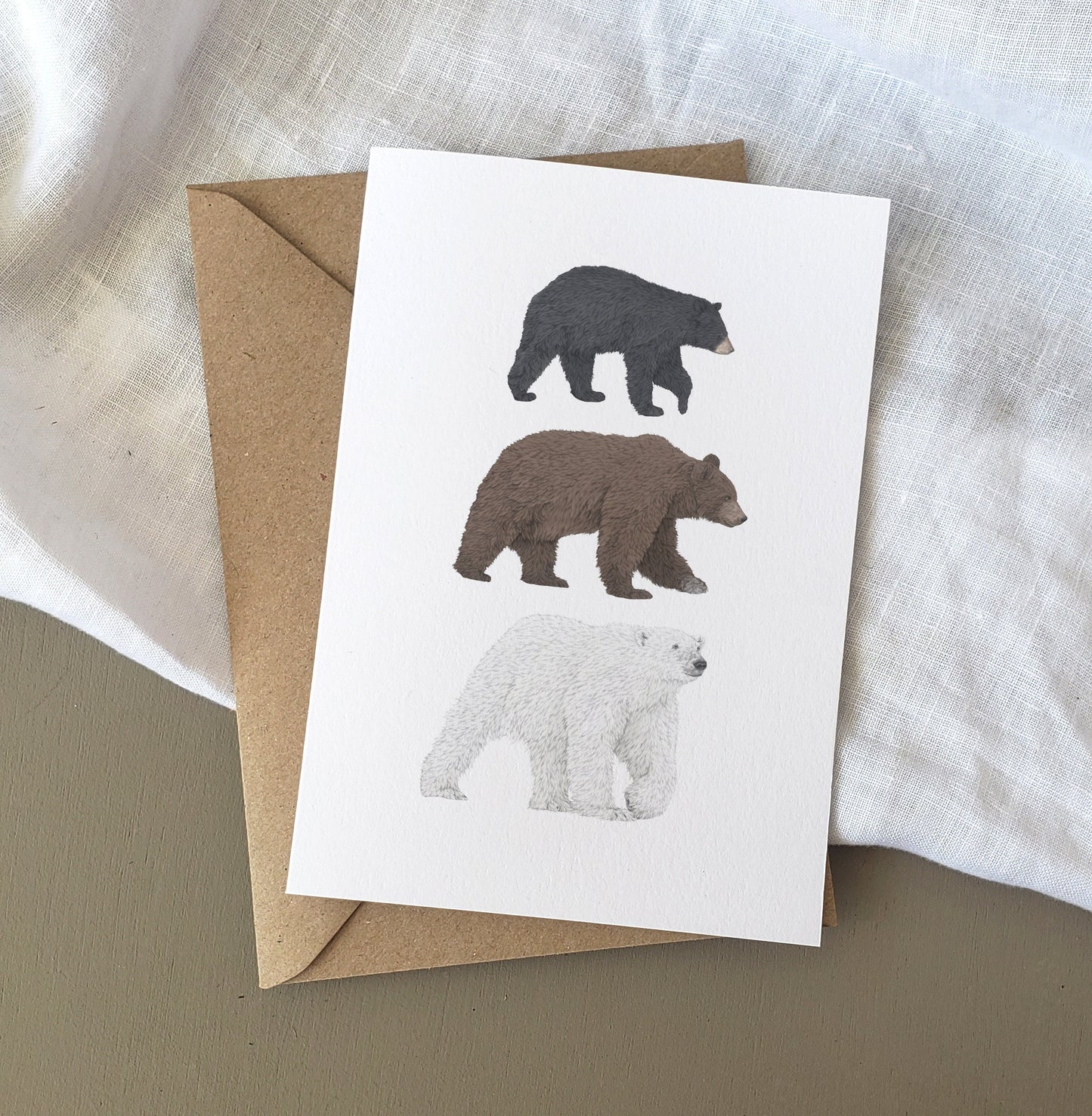 Bear Species Card