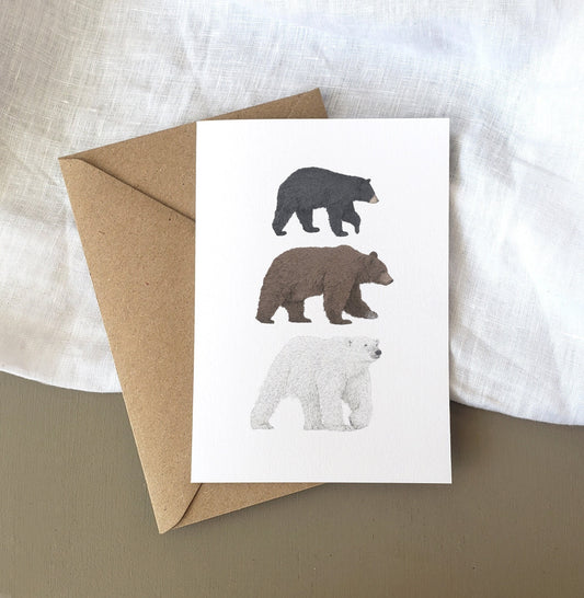 Bear Species Card